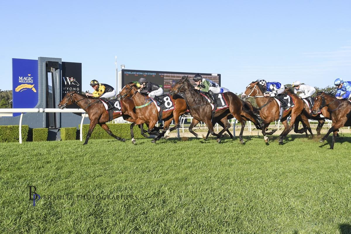 Picture of the author