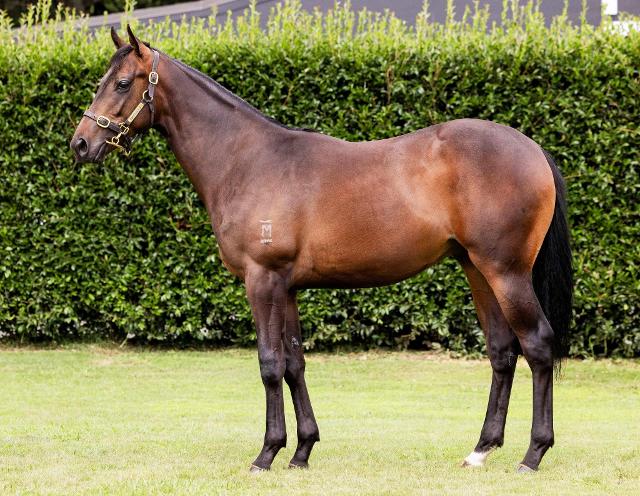 Profondo / Monet Colt