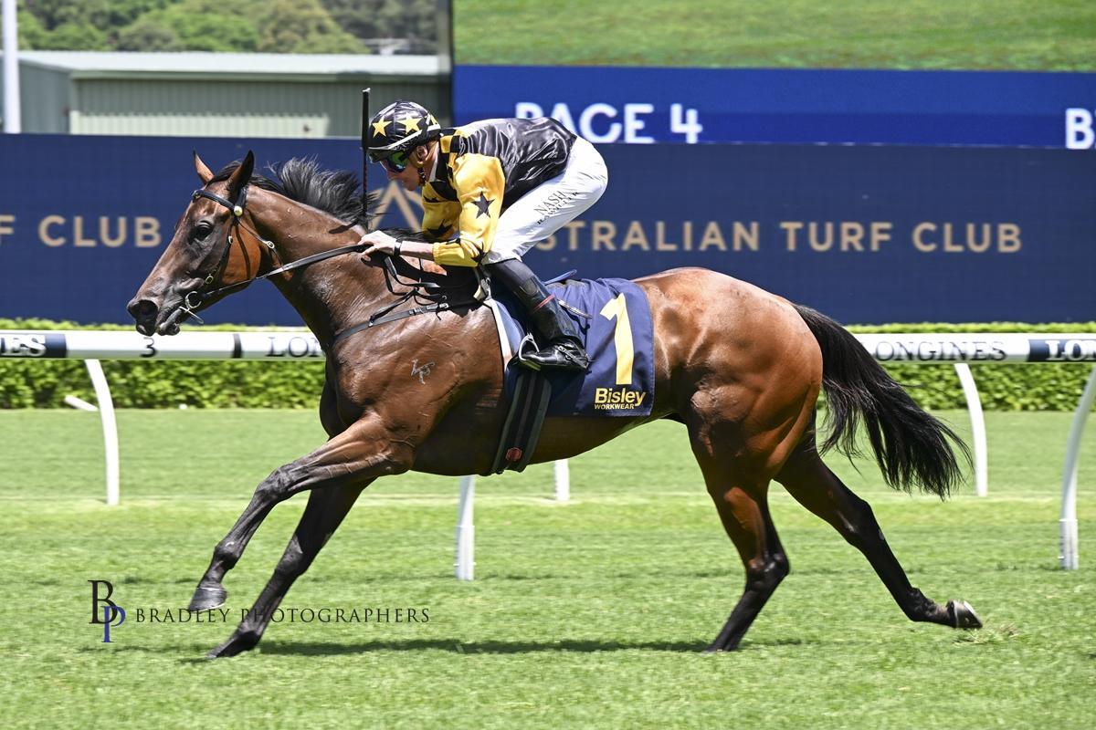 Picture of the author