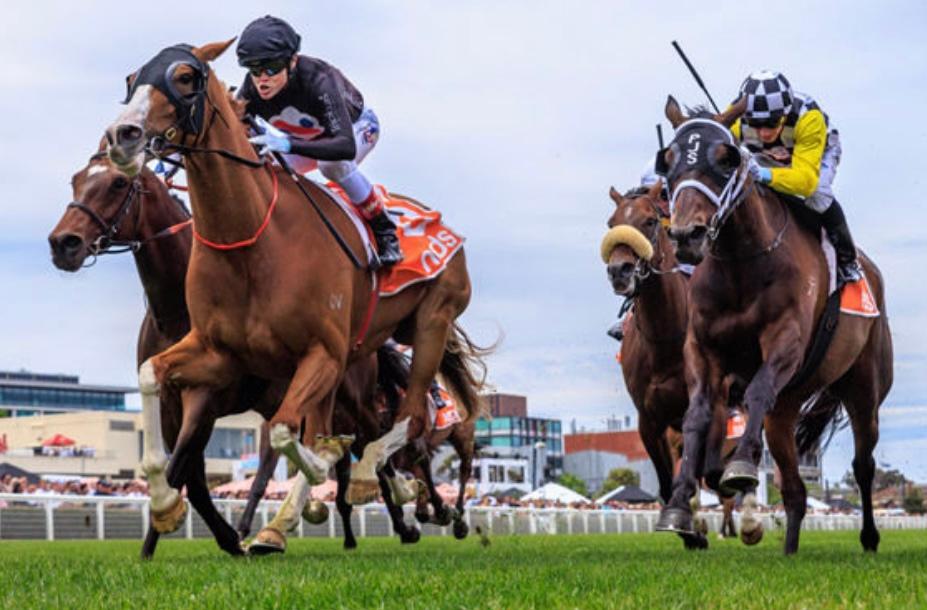 Gin Martini wins the Sandown Cup !