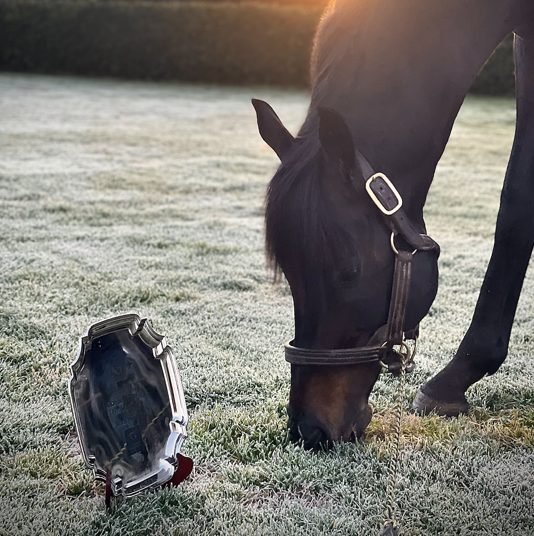 (homepage) (royal-meeting)  Royal Crowned Champion