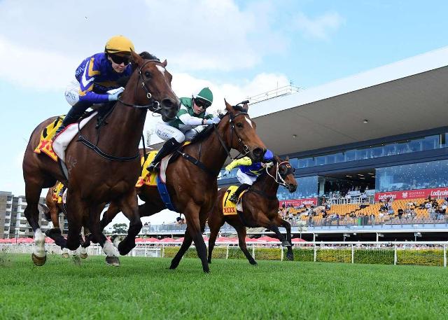 IMPERVIOUS SCORES MORE CITY SUCCESS