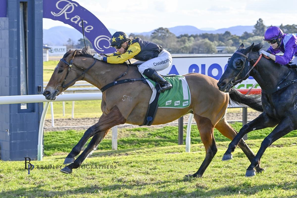 Picture of the author