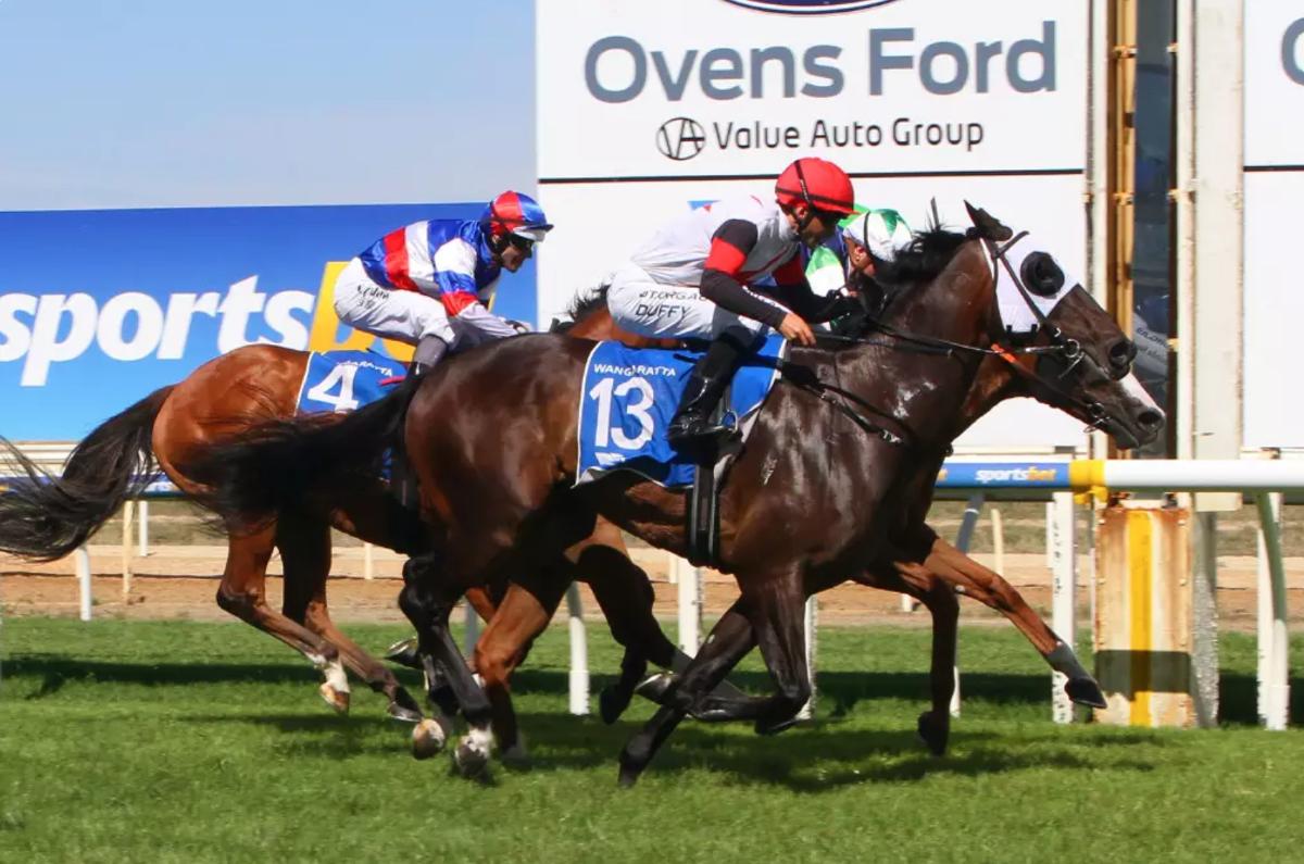 Inside draw for Prince Of Helena in Wodonga Cup