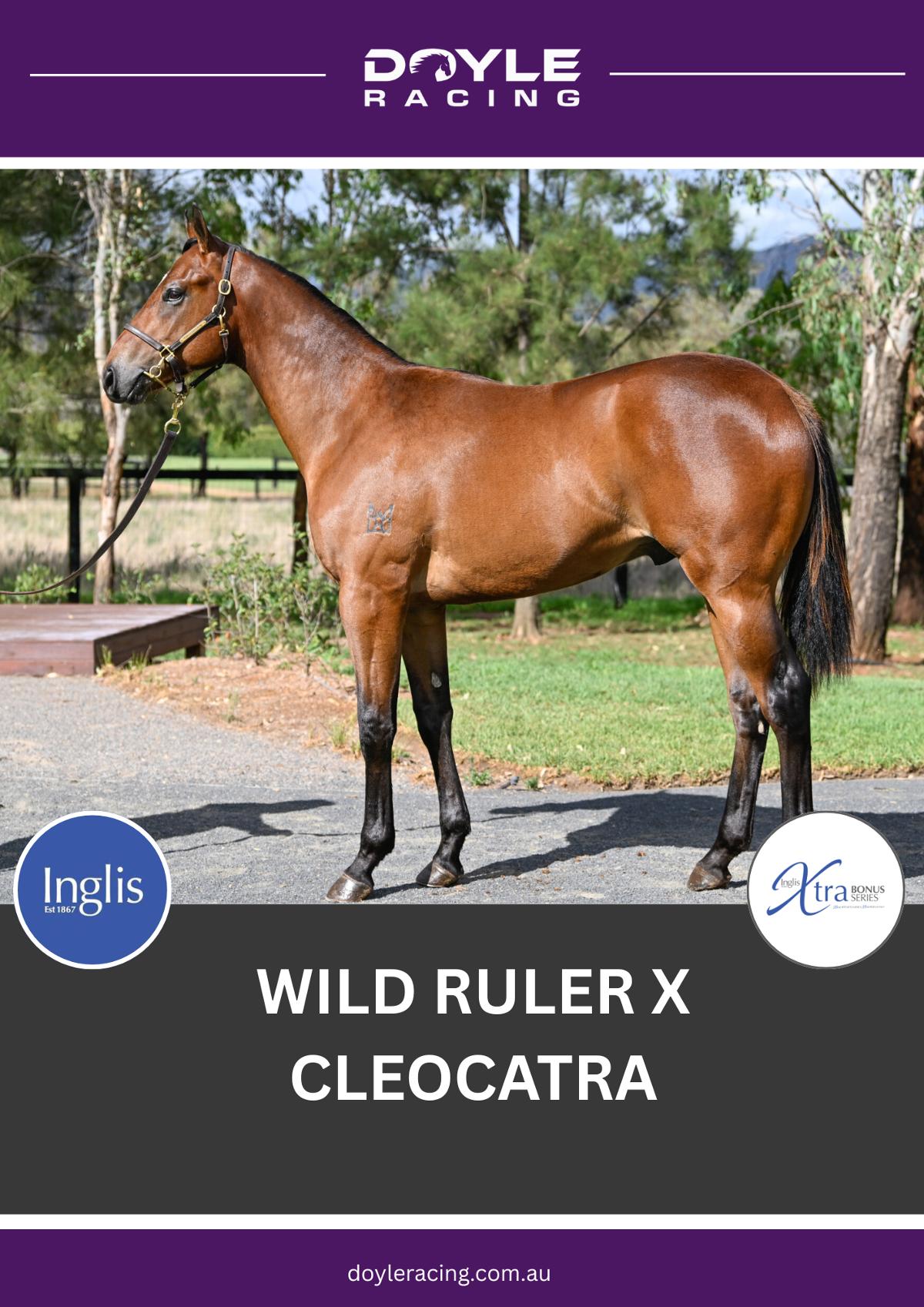 Wild Ruler x Cleocatra