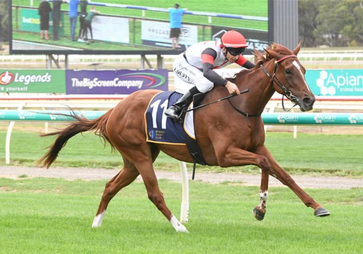 Local hope dining for sweet result in Wangaratta Cup