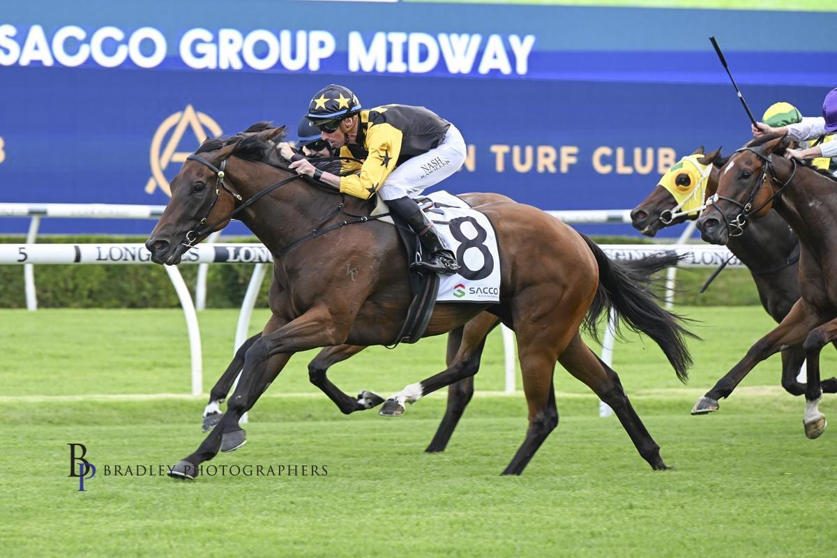 Picture of the author