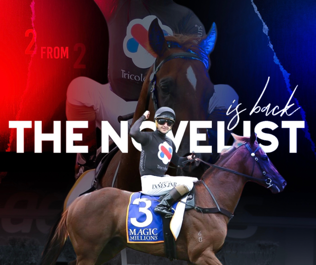The Novelist - he's back !