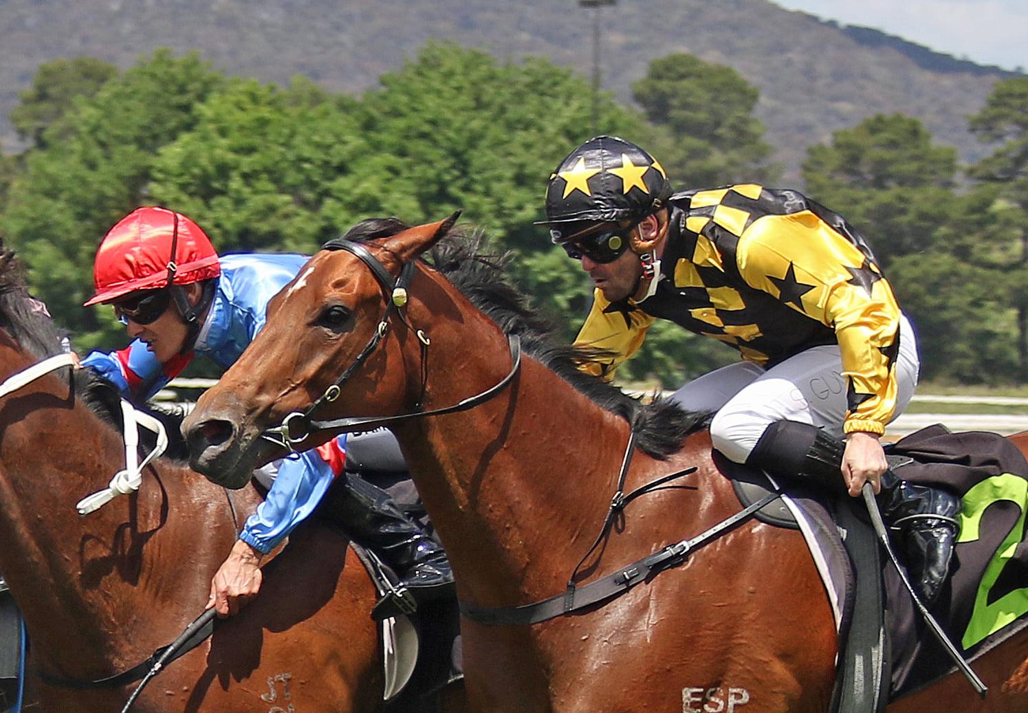 Picture of the author