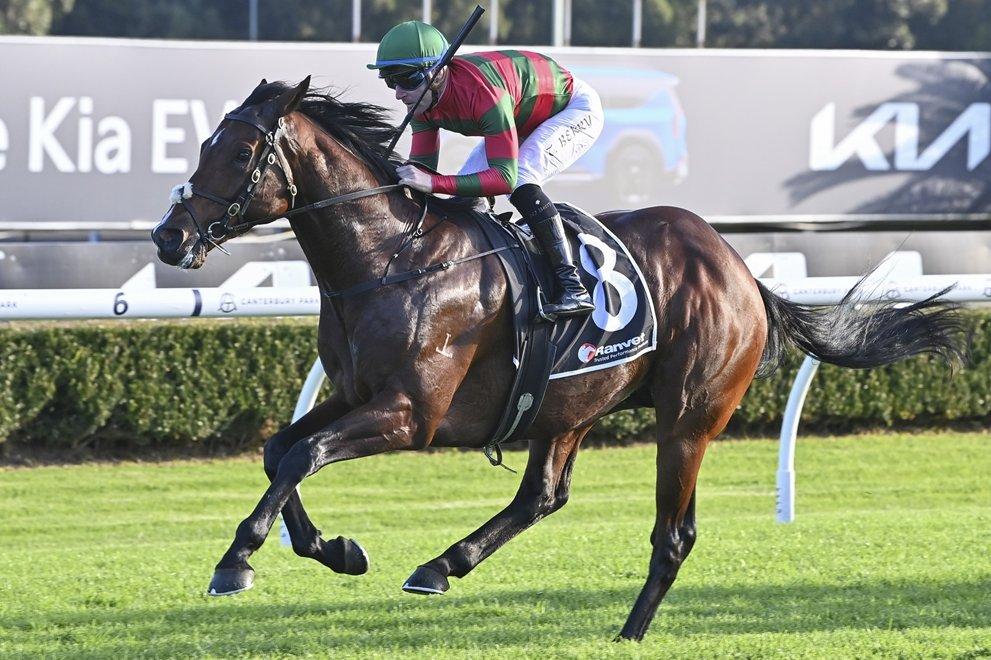 Snowden hopes galloper becomes cut above after decision to geld.