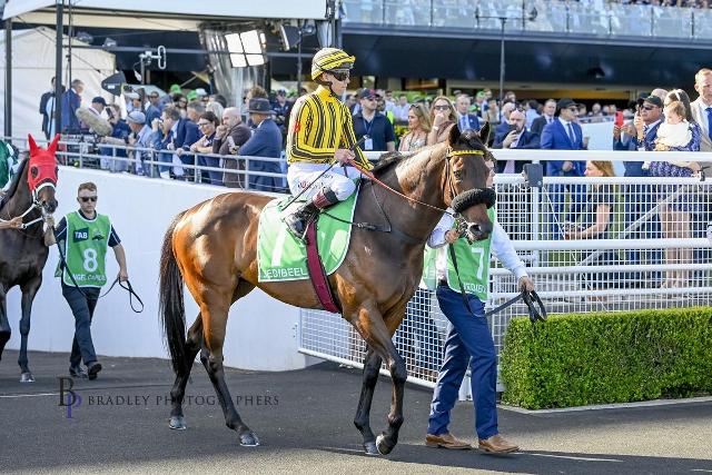 JEDIBEEL SHINES ON THE BIG STAGE