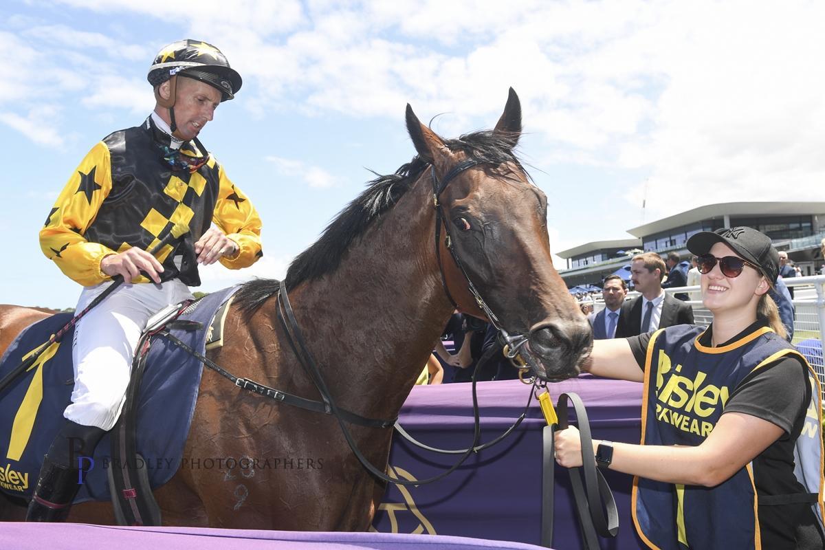 Picture of the author