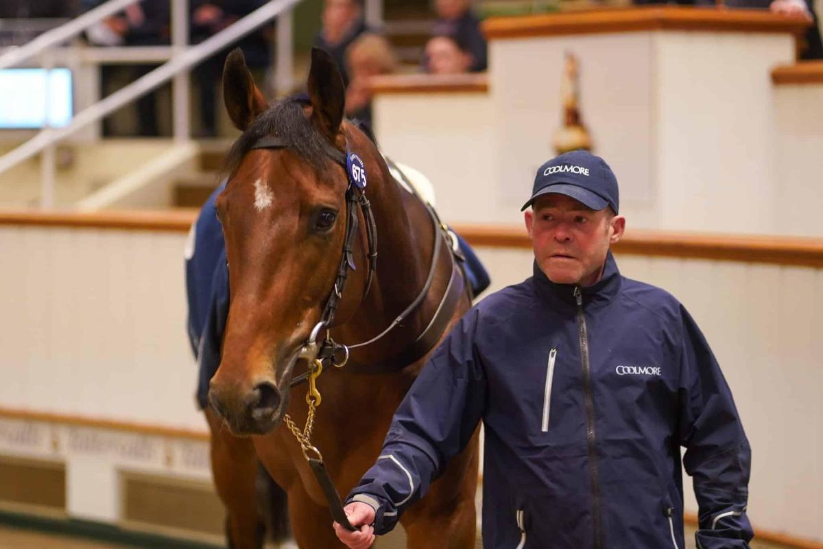 (Stable Spotlight) Wootton Bassett: The Tattersalls Triple Play