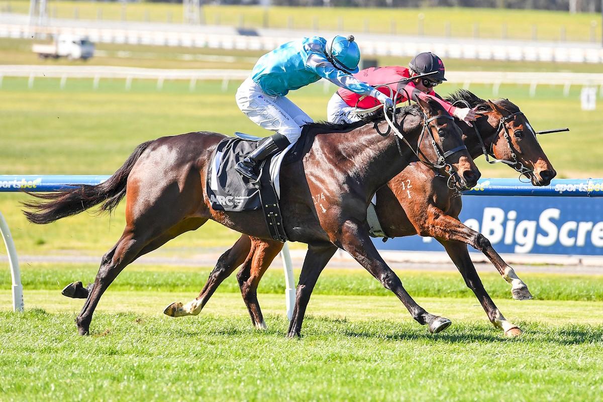 Picture of the author