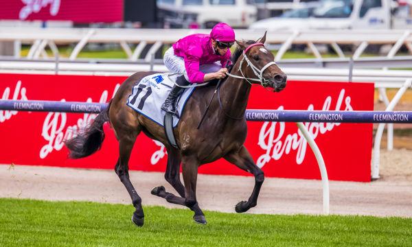 JJJ TIP SHEET SAT 21st SEPTEMBER!