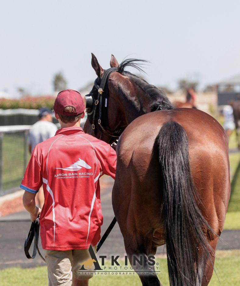 ABR Weekend Review