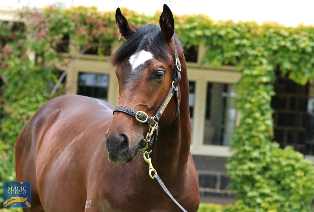 Frankel colt has a bright future