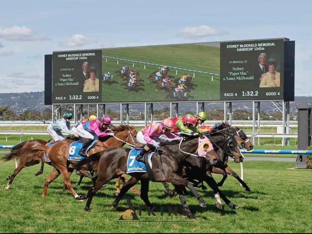 Sav Flies First-up to Secure a Dead-Heat Victory