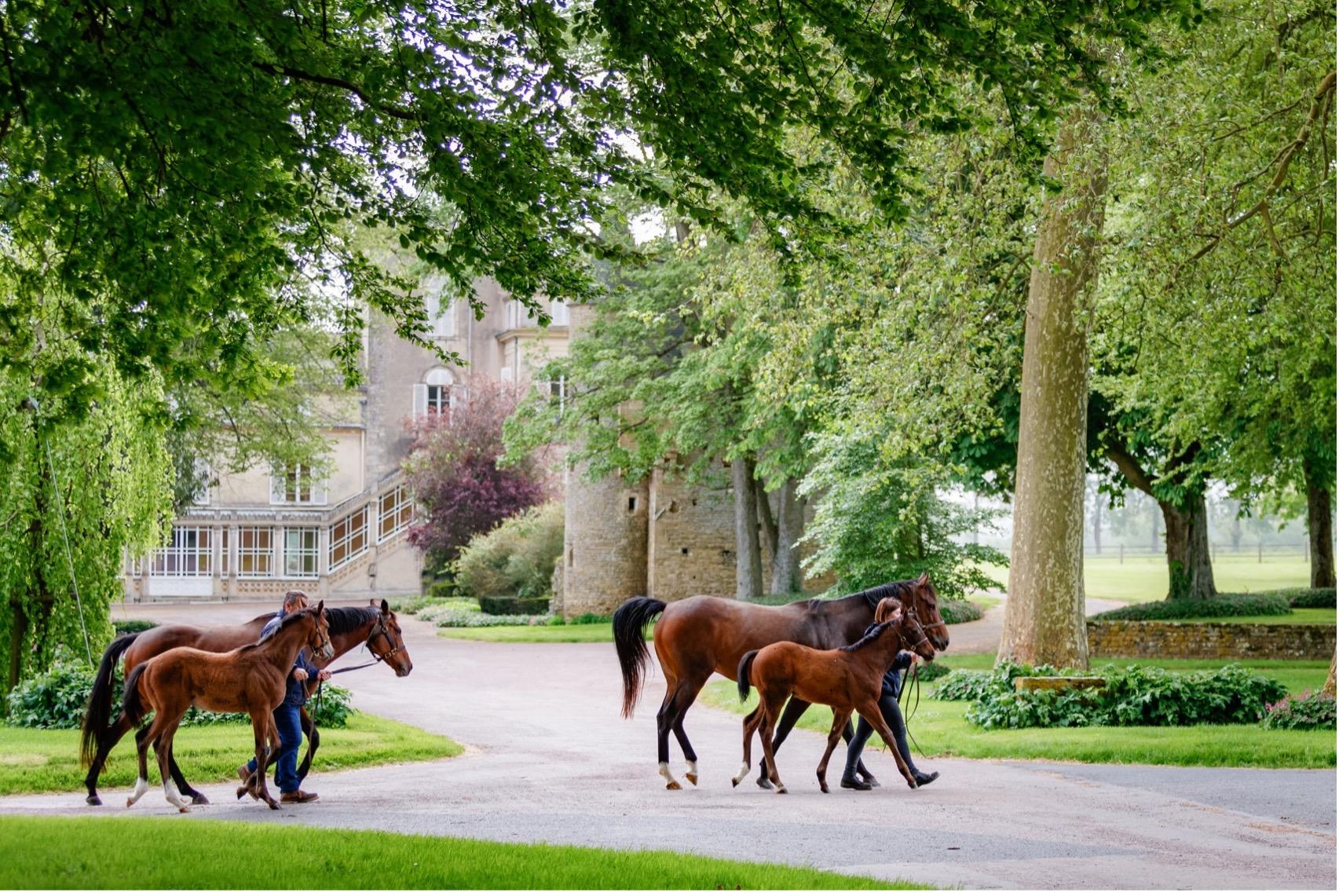 Picture of the author