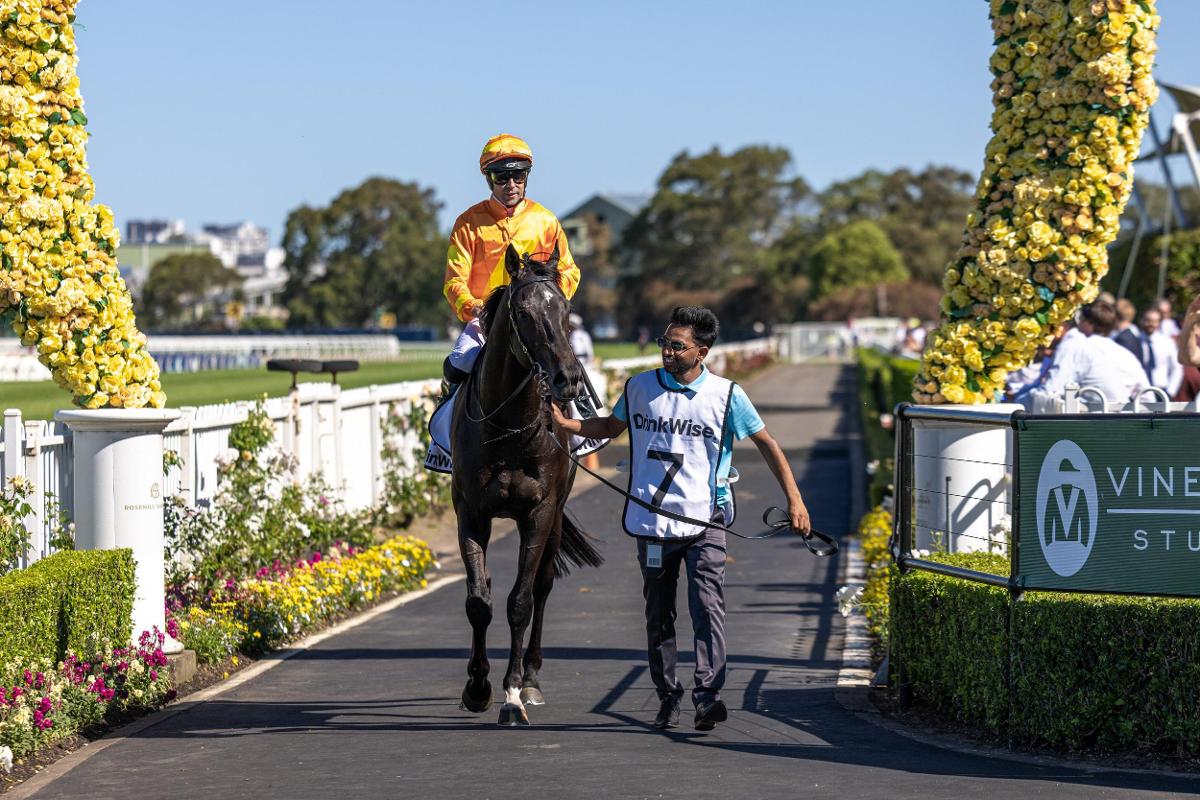 Playing By The Rules