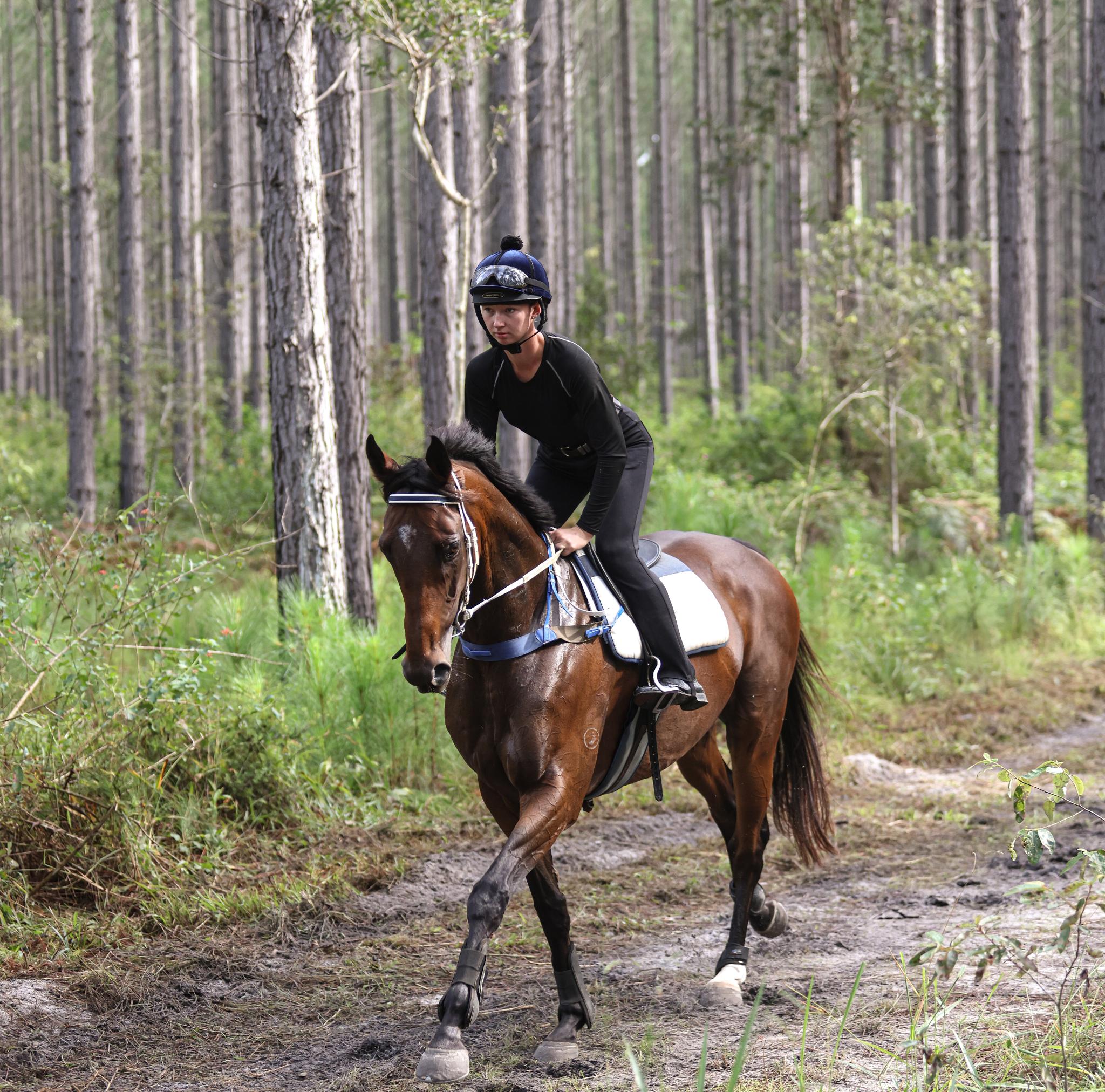 location - cloverdale  (5).jpg