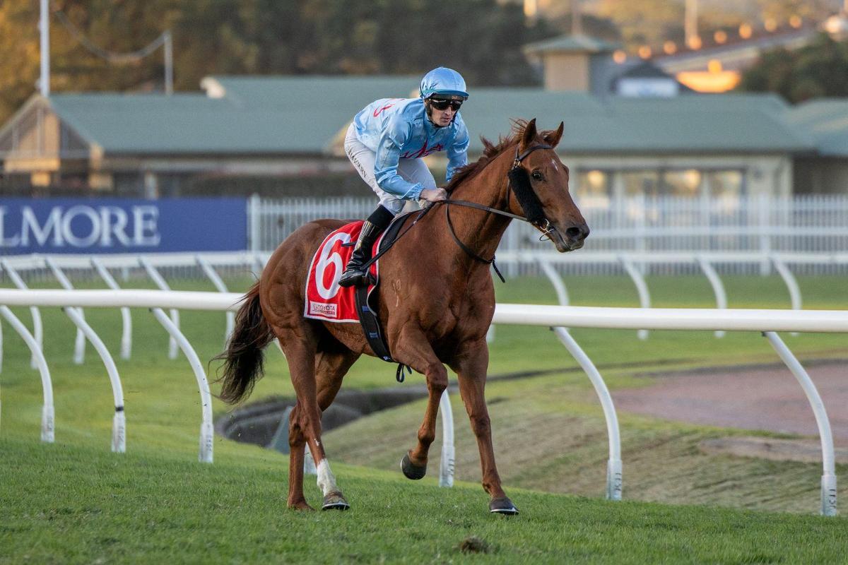 King Of Roseau Wins Group 3 Aurie’s Star