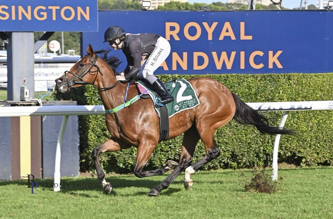 NINGALOO STAR DOMINATES AND BOLTS IN AT THE KENSO !