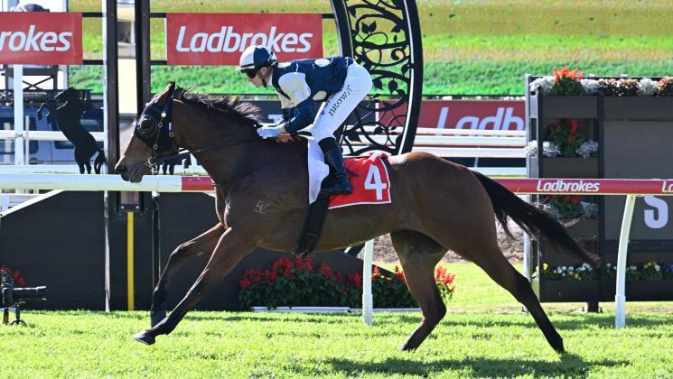 MyStake Casino Interface