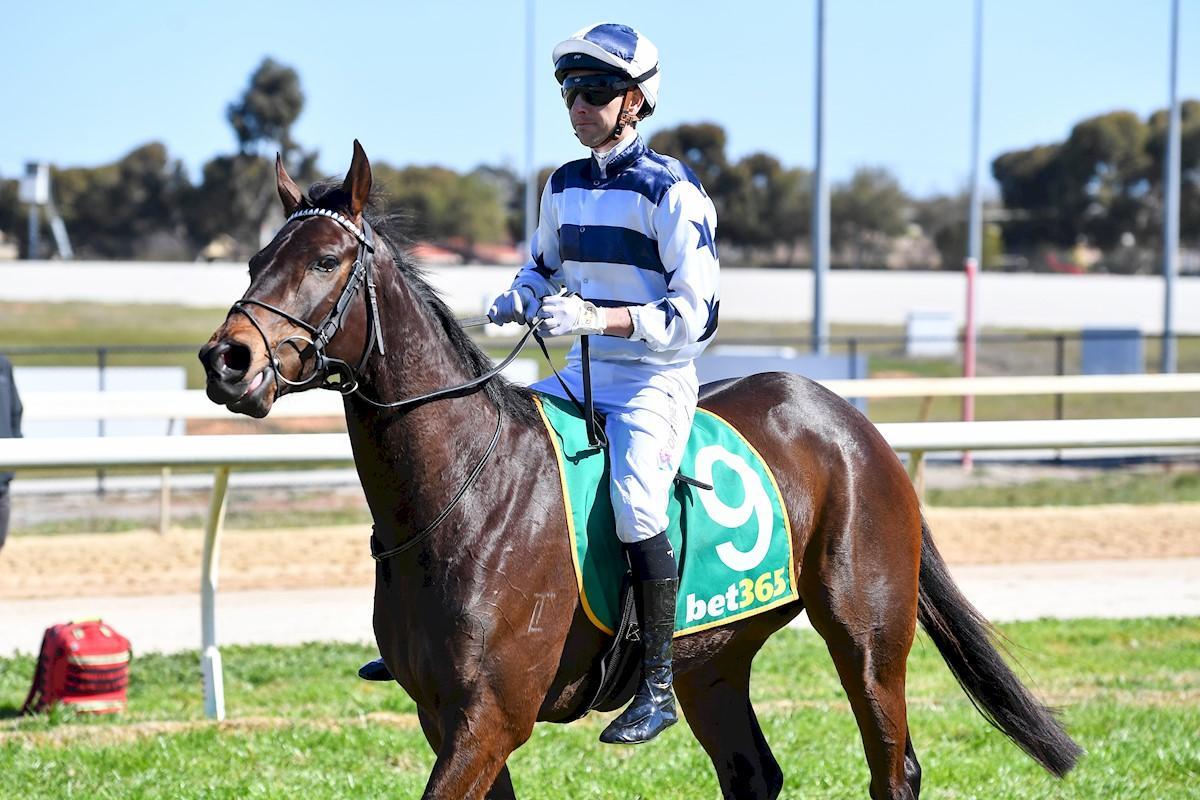 Racing Preview - 20/10/25