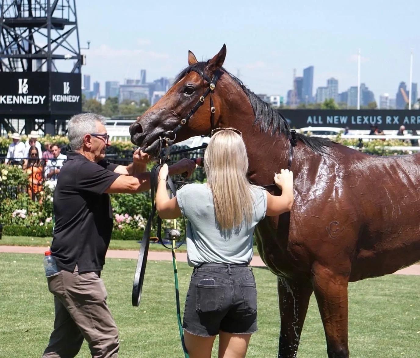 Moloney Racing