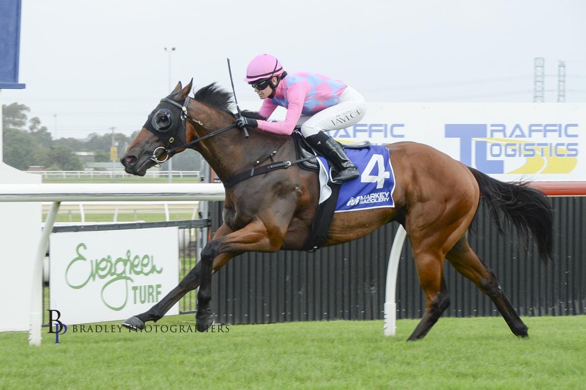 Picture of the author