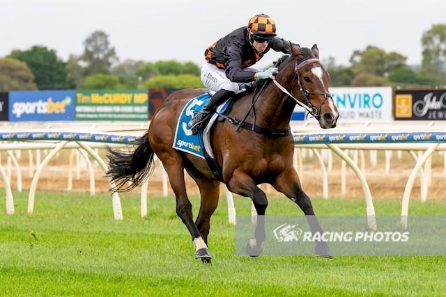 Avatar-HorsesAvailable