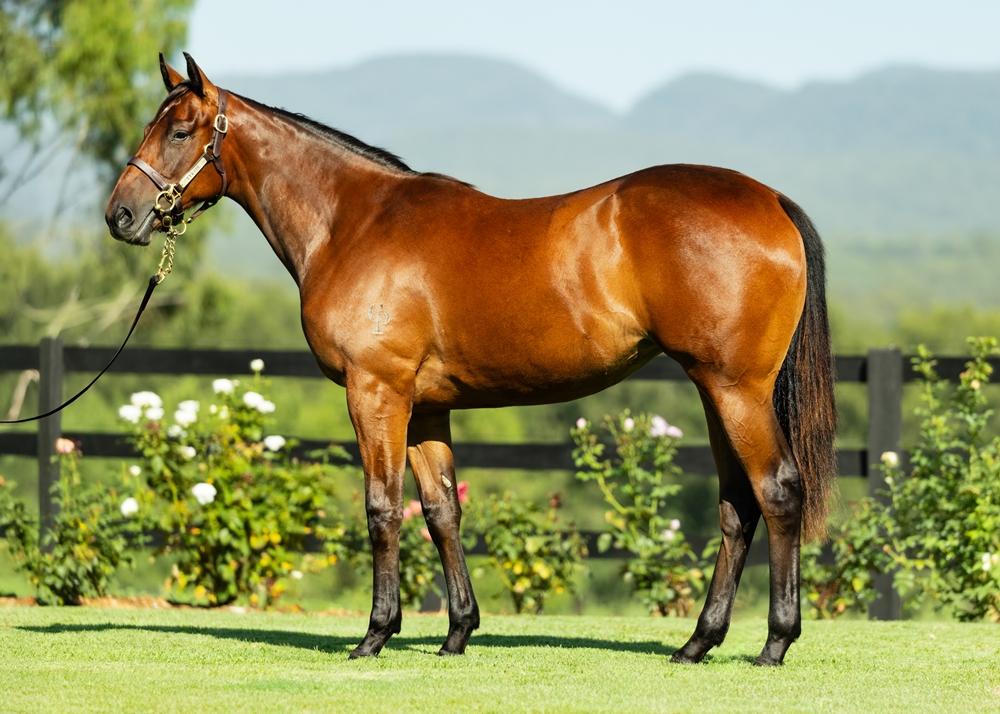 Super Seth / Social Distance '24