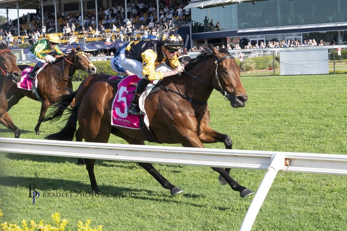 Picture of the author