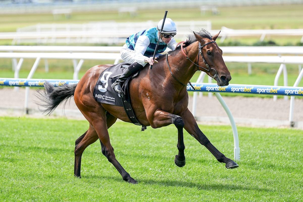 Top Reward secures a stable double at home track