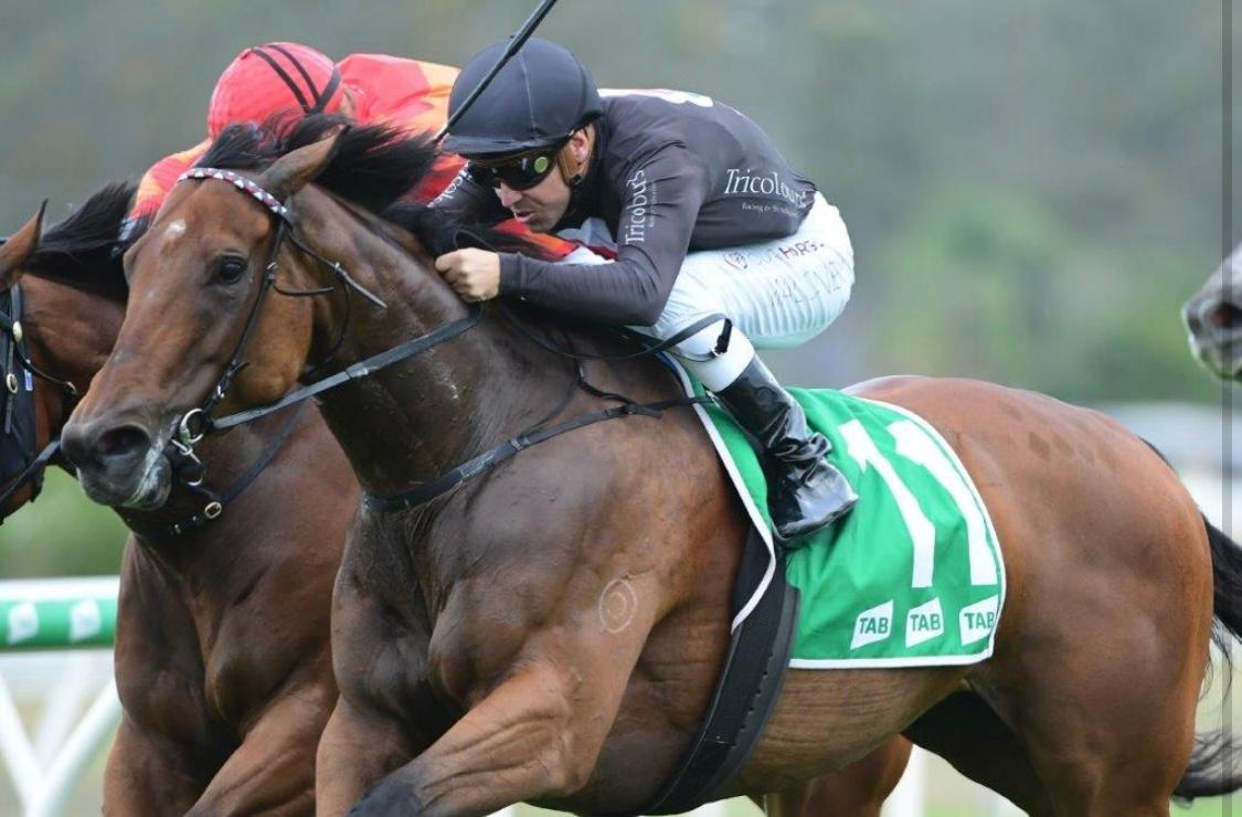 PARACHUTER DROPS IN WITH A WIN AT IPSWICH !