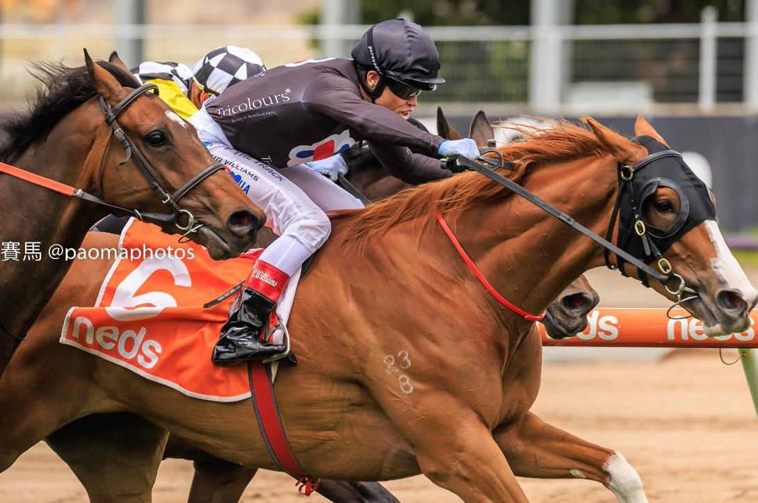 Gin Martini wins the Sandown Cup !
