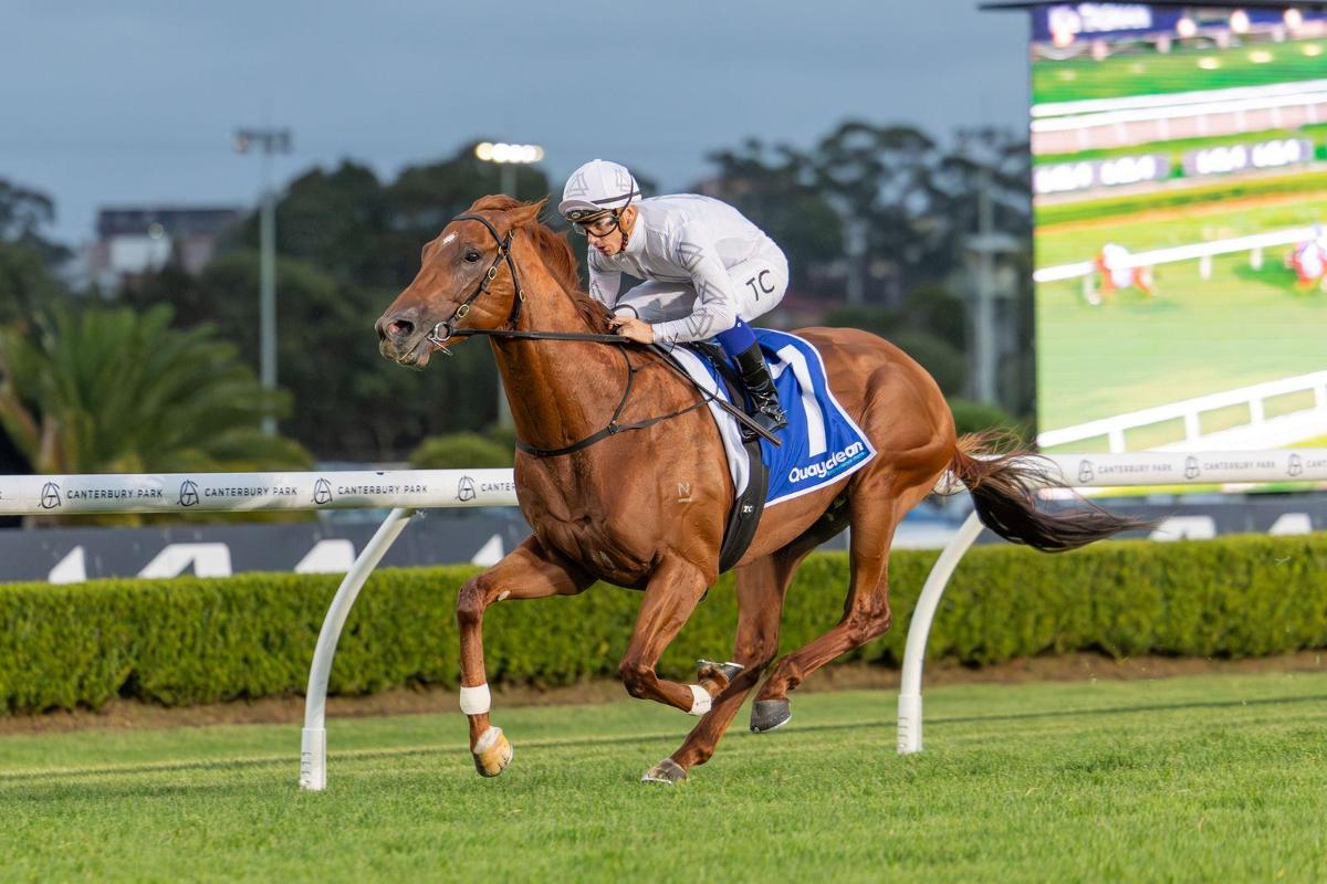 Powerhouse - One to Watch