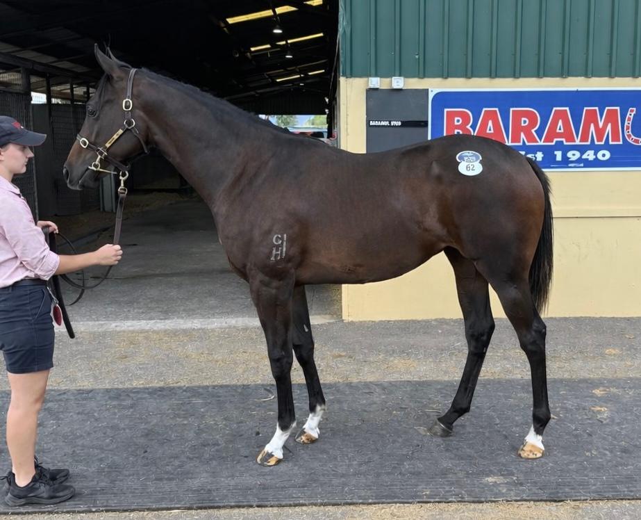 Exceedance / Statuesquely '24