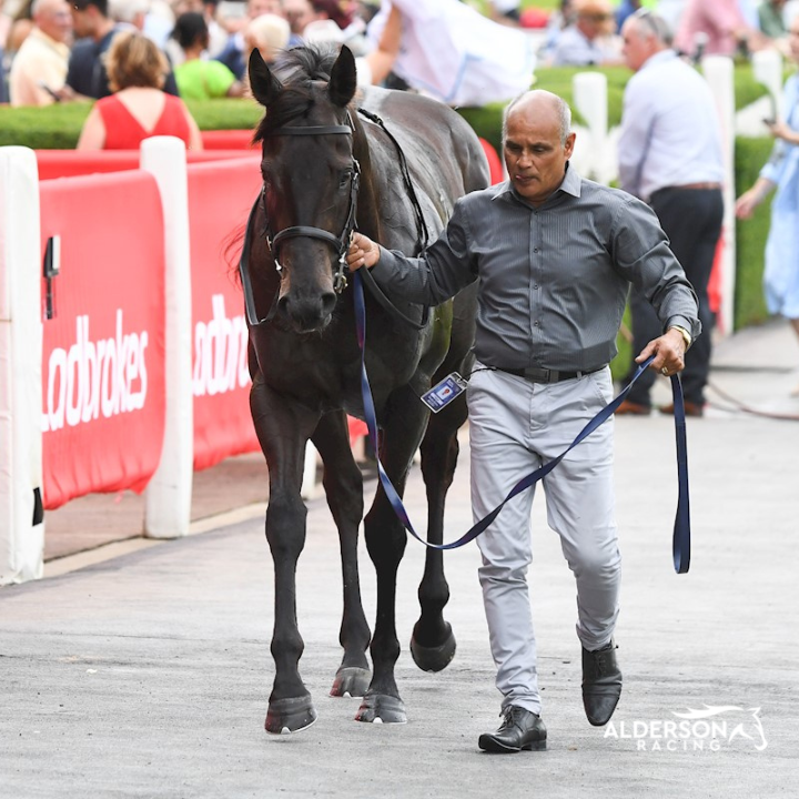 Jigsaw Wins Group 2 Australia Stakes