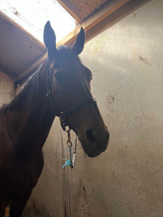Two runners in one of the highweights at Warrnambool