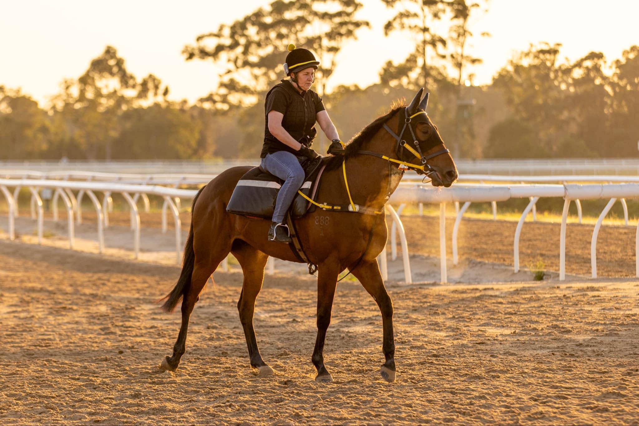 Picture of the author