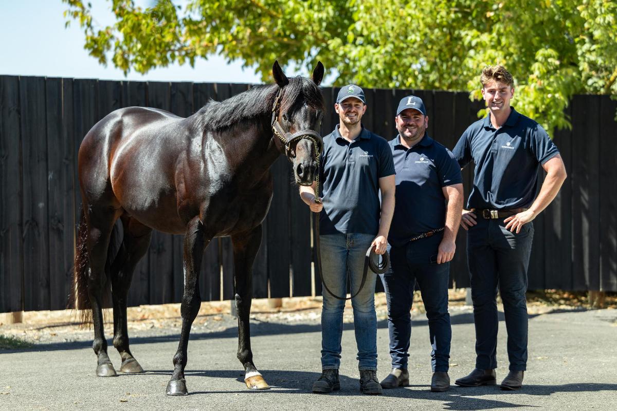 (homepage) (move-to-strike) (royal-meeting) (fierce-impact) (generation) (gold-trip)  Lovatsville’s 2025 stallion fees - Premium service and a deal-focused mentality to the fore.