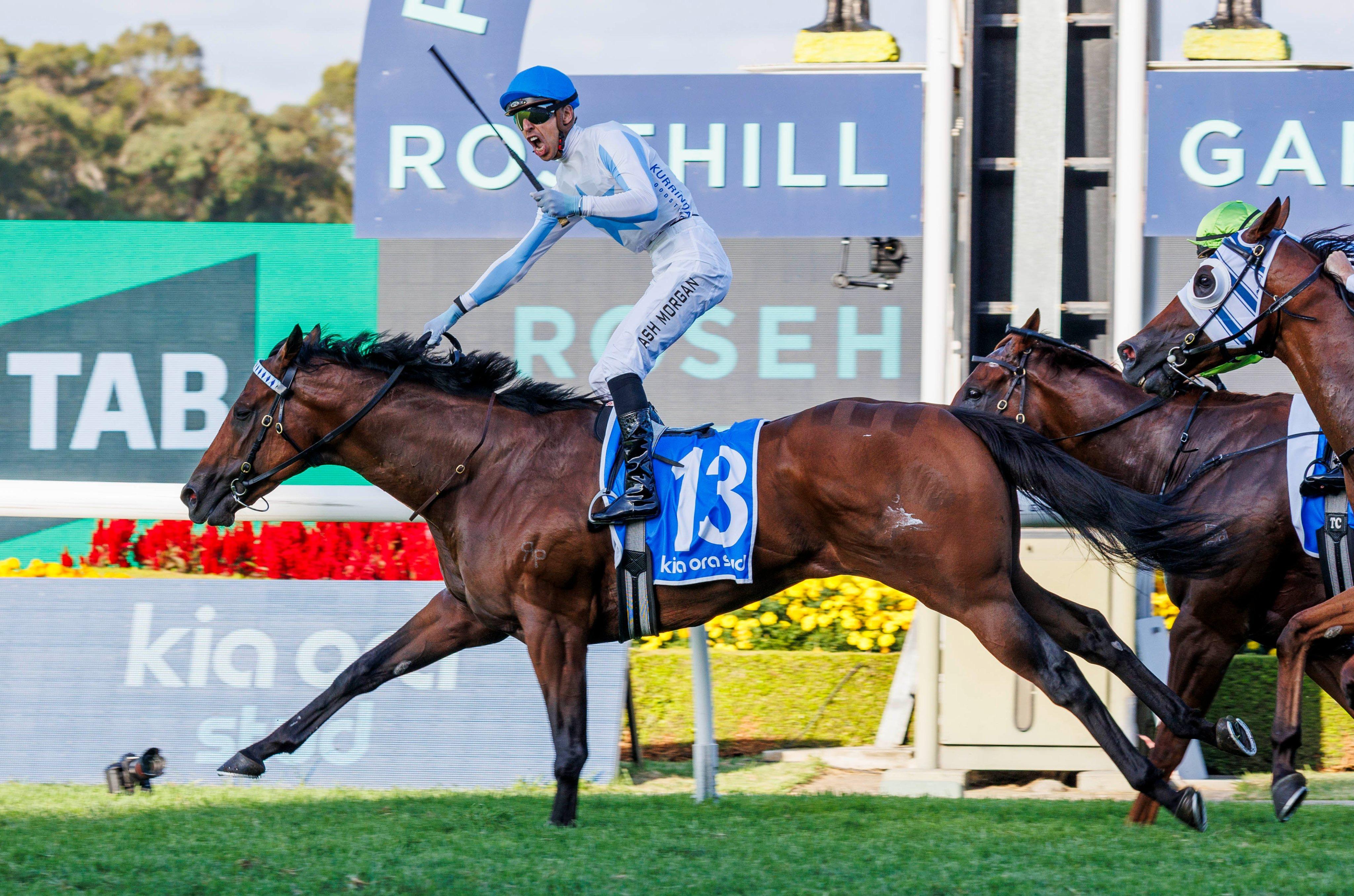 Welcome to Doyle Racing Private Harry - The Galaxy