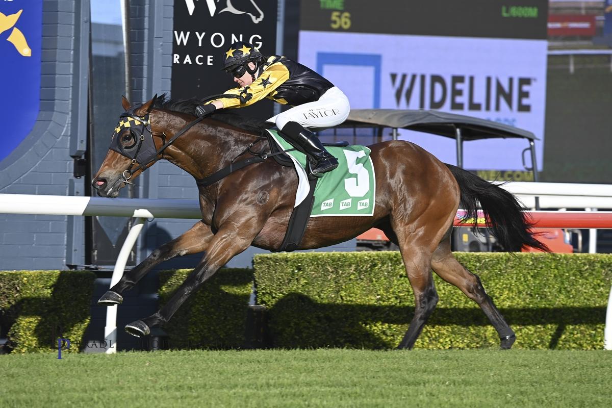 Picture of the author