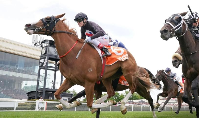 Gin Martini wins the Sandown Cup !
