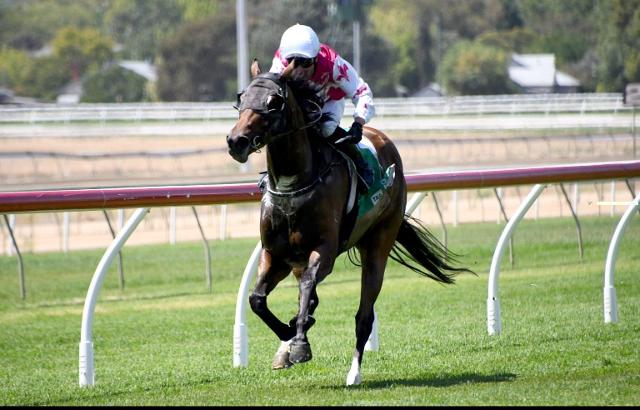 Travers dreaming of divine result in Country Championships