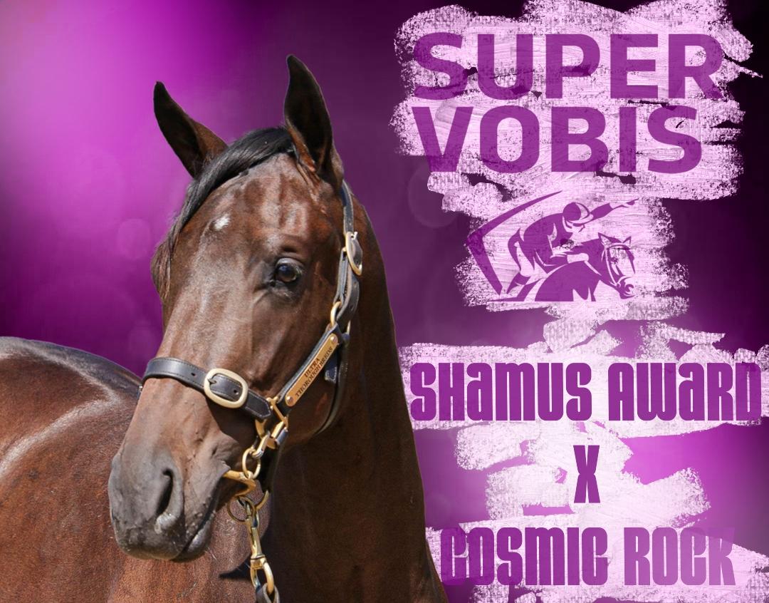 Super Vobis Eligible