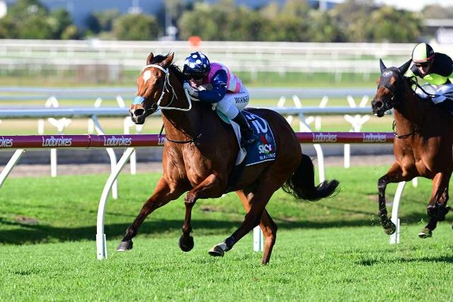 Chalice Well gets her 1st Metro win for the team