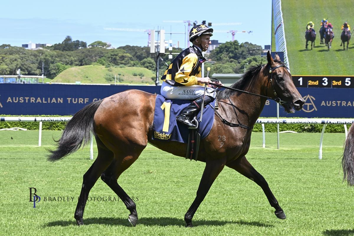 Picture of the author